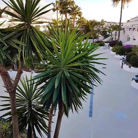 Apartment One Bedroom With Shared Pool Garden And Wifi At 1 Km Away From The